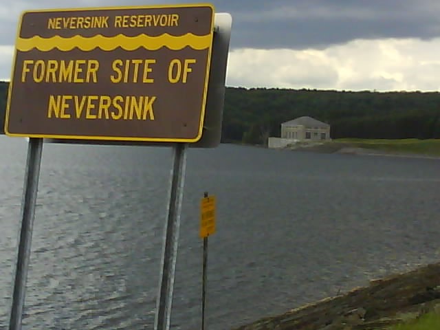 Neversink Sank.jpg